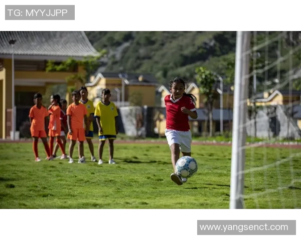 杭州排球队配合变革引发热议助力球队新征程