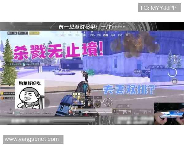 和平精英V5技术深度解析与游戏体验提升的创新探索