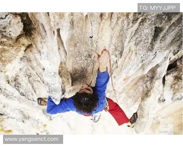 成都攀岩队灵活性对比分析揭示训练策略与表现差异