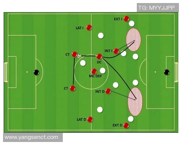 上海排球队的战术节奏解析与未来发展展望