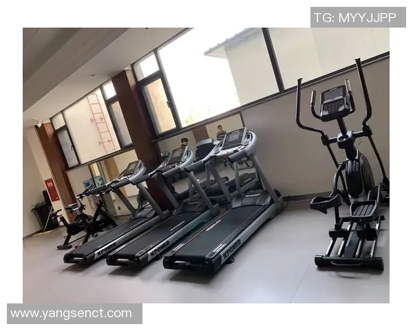 黑龙江健身器材：黑龙江地区健身器材品牌及销售渠道