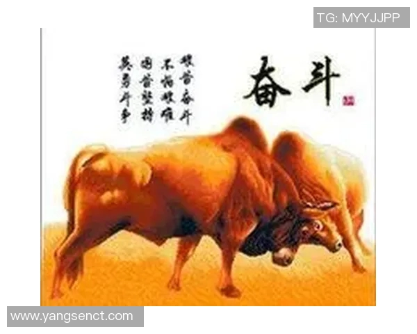 从草根到巨星的足球传奇之路：一位明星的奋斗与荣耀