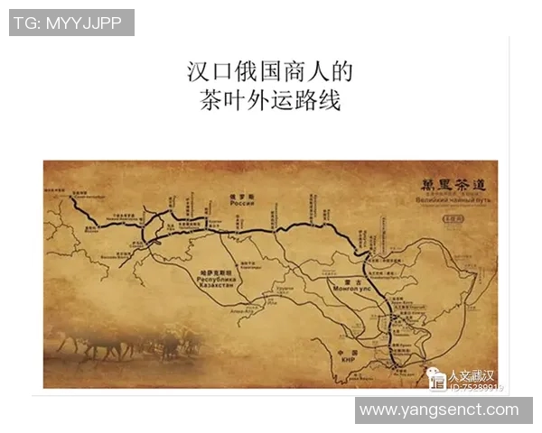南京足球队的节奏解析与战术深度探讨之旅