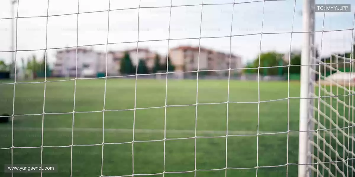 见证传奇,尽在顶级赛事!🥇🏀